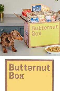 butternut box