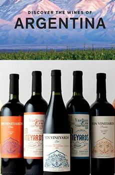 vin vineyards